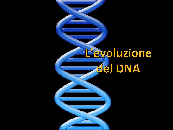 L’evoluzione del DNA 