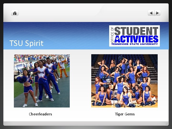 TSU Spirit Cheerleaders Tiger Gems 