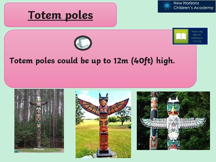 Totem poles could be up to 12 m (40 ft) high. 