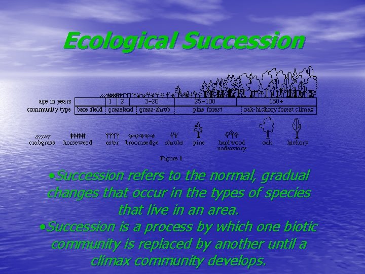 Ecological Succession • Succession refers to the normal, gradual changes that occur in the