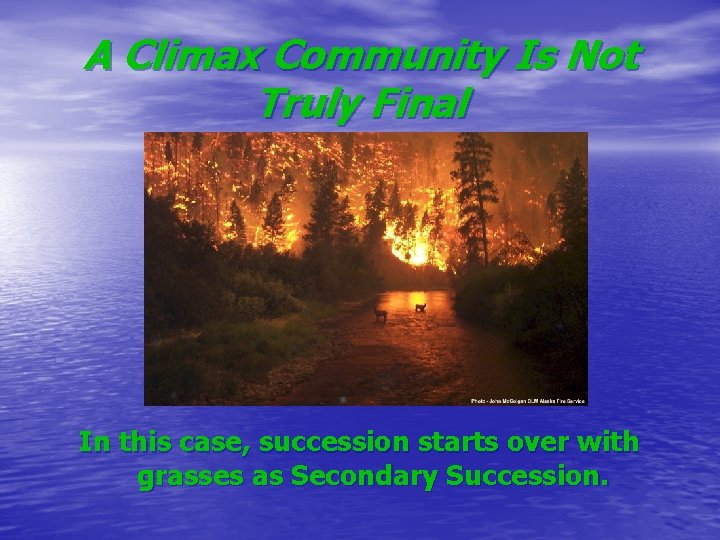 A Climax Community Is Not Truly Final In this case, succession starts over with