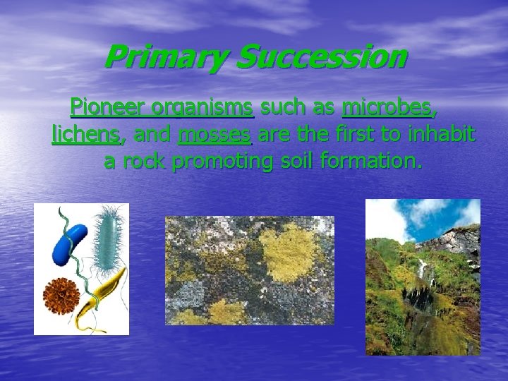 Primary Succession Pioneer organisms such as microbes, lichens, and mosses are the first to