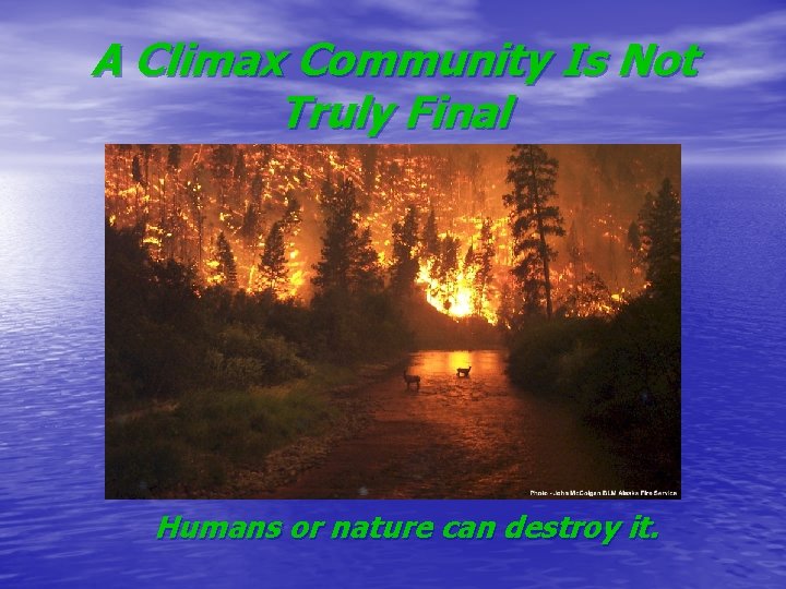 A Climax Community Is Not Truly Final Humans or nature can destroy it. 