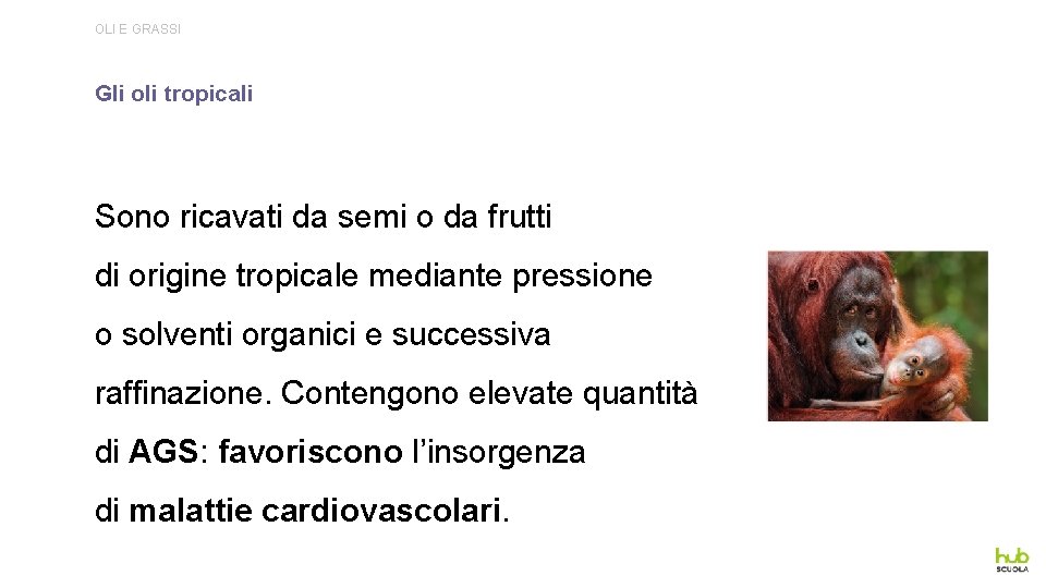 OLI E GRASSI Gli oli tropicali Sono ricavati da semi o da frutti di