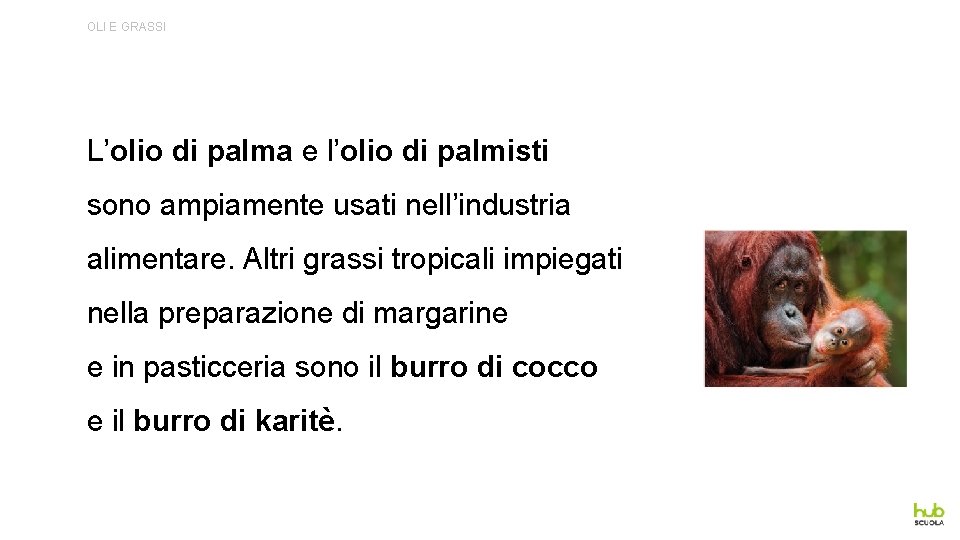 OLI E GRASSI L’olio di palma e l’olio di palmisti sono ampiamente usati nell’industria