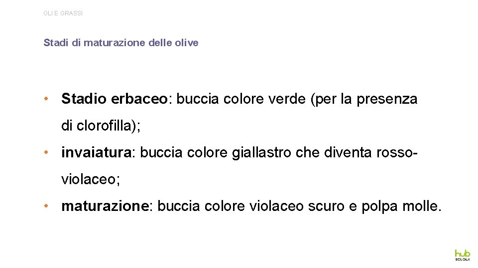 OLI E GRASSI Stadi di maturazione delle olive • Stadio erbaceo: buccia colore verde