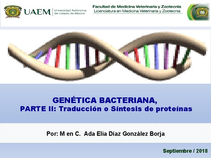 GENÉTICA BACTERIANA, PARTE II: Traducción o Síntesis de proteínas Por: M en C. Ada