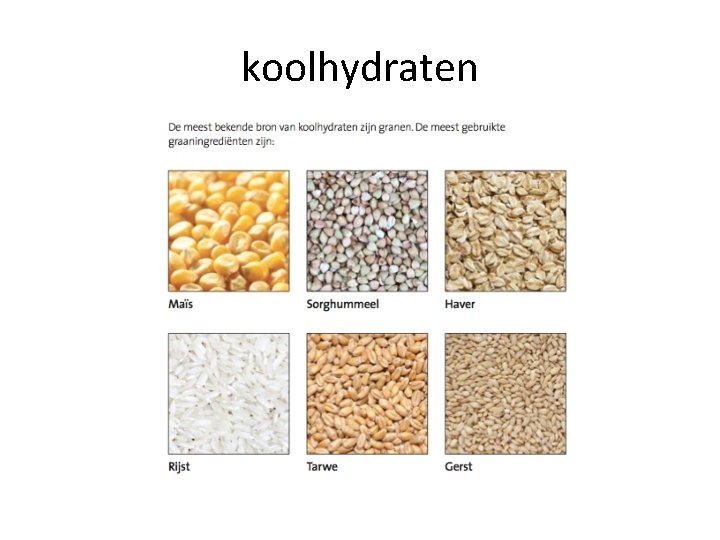 koolhydraten 