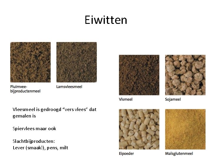 Eiwitten Vleesmeel is gedroogd “vers vlees” dat gemalen is Spiervlees maar ook Slachtbijproducten: Lever