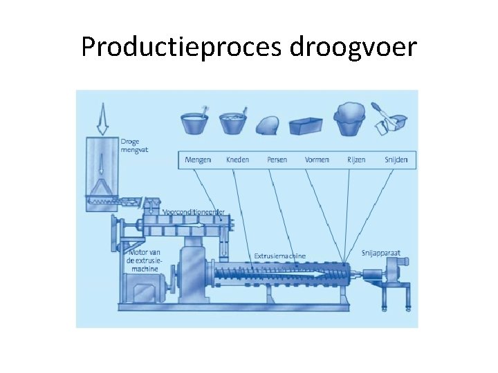 Productieproces droogvoer 