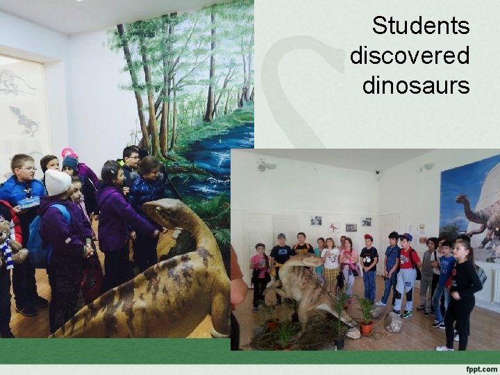 Students discovered dinosaurs 