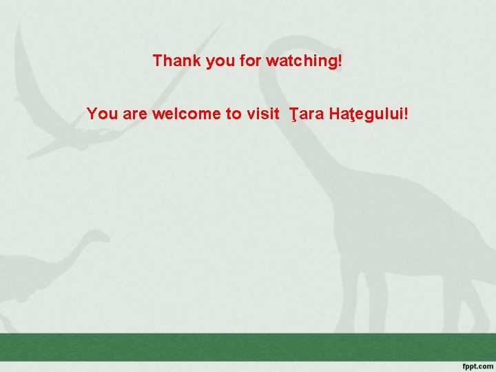 Thank you for watching! You are welcome to visit Ţara Haţegului! 