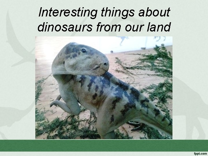 Interesting things about dinosaurs from our land 