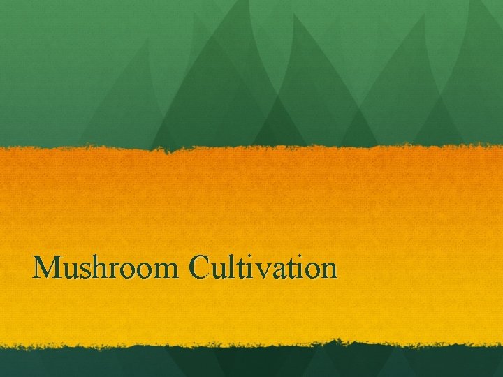 Mushroom Cultivation 