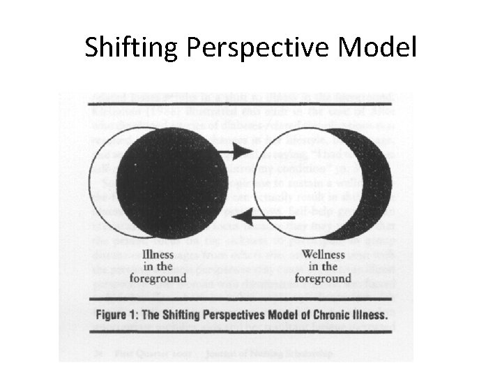 Shifting Perspective Model 
