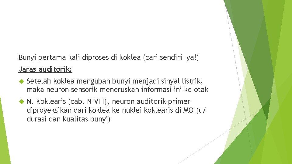 Bunyi pertama kali diproses di koklea (cari sendiri ya!) Jaras auditorik: Setelah koklea mengubah