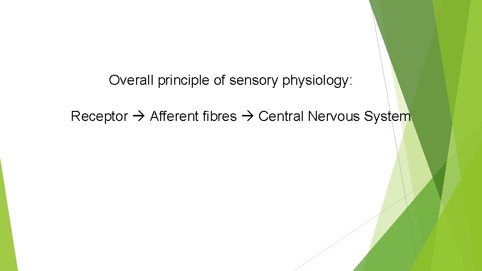 Overall principle of sensory physiology: Receptor Afferent fibres Central Nervous System 