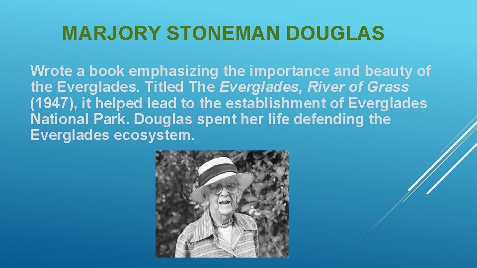 MARJORY STONEMAN DOUGLAS Wrote a book emphasizing the importance and beauty of the Everglades.