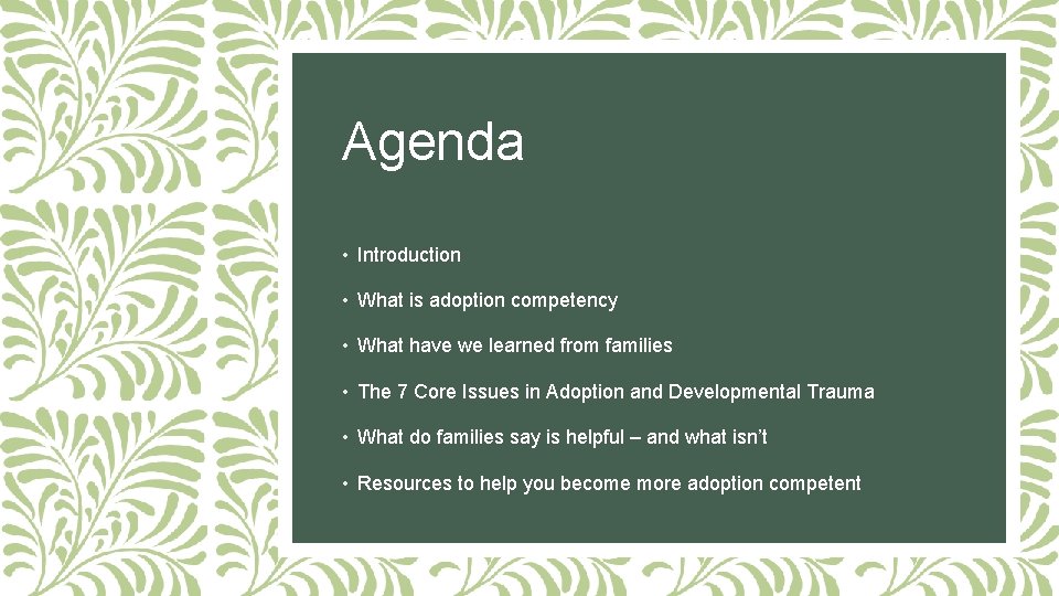 Agenda • Introduction • What is adoption competency • What have we learned from