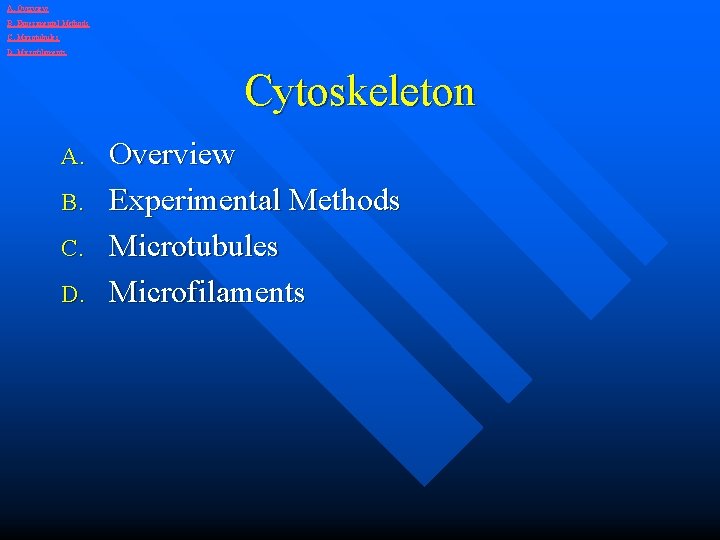 A. Overview B. Experimental Methods C. Microtubules D. Microfilaments Cytoskeleton A. B. C. D.