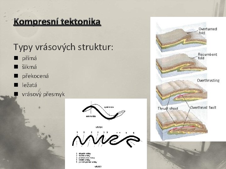 Kompresní tektonika Typy vrásových struktur: n n n přímá šikmá překocená ležatá vrásový přesmyk