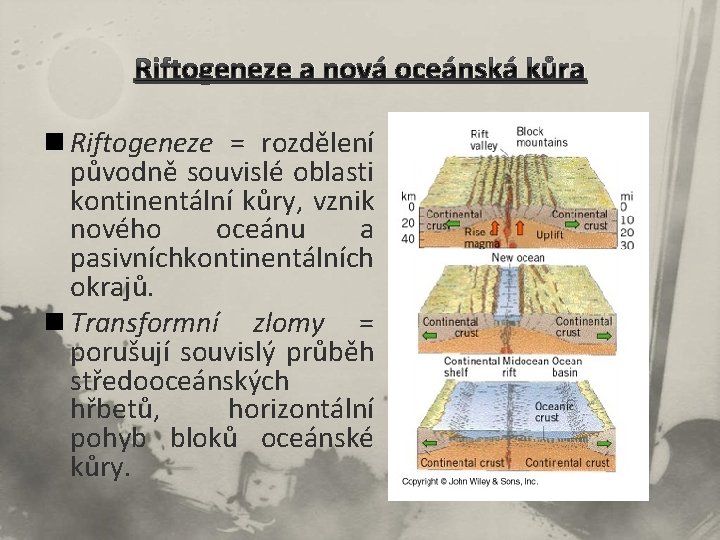 Riftogeneze a nová oceánská kůra n Riftogeneze = rozdělení původně souvislé oblasti kontinentální kůry,