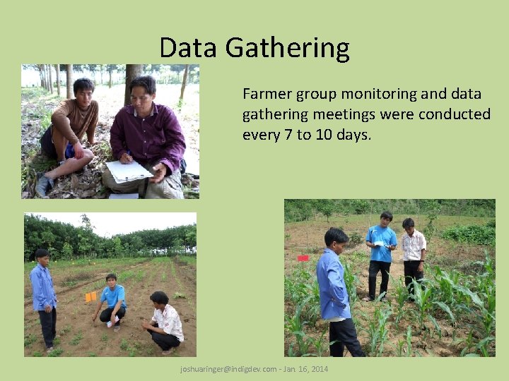 Data Gathering Advantages Farmer group monitoring and data gathering meetings were conducted every 7