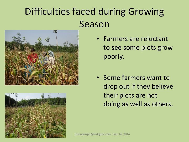 Difficulties faced during Growing Season • Farmers are reluctant to see some plots grow