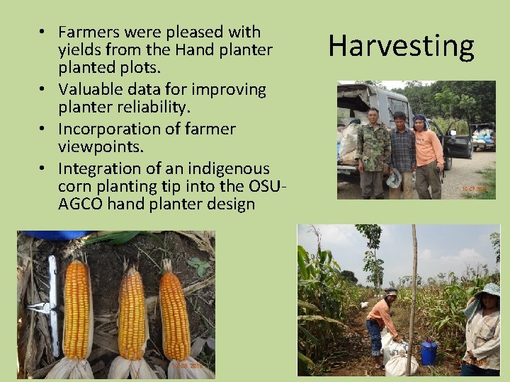  • Farmers were pleased with yields from the Hand planter planted plots. •