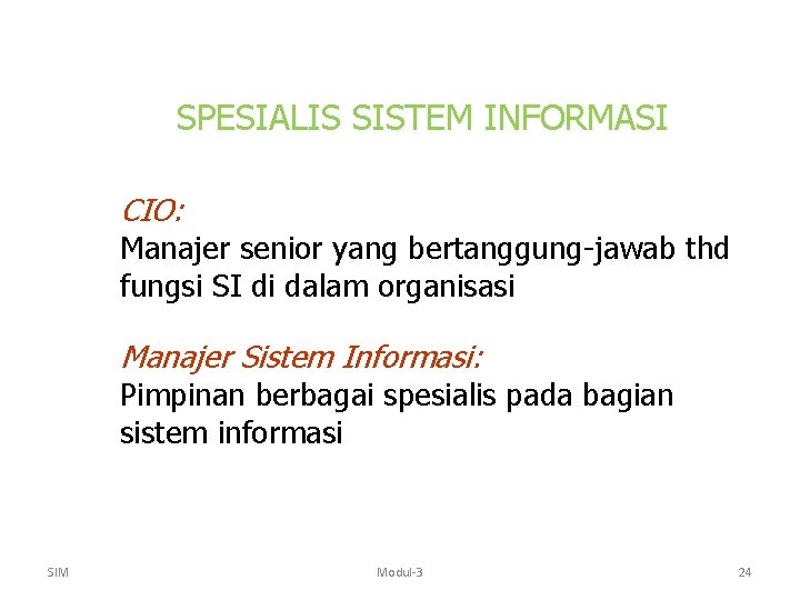 SPESIALIS SISTEM INFORMASI CIO: Manajer senior yang bertanggung-jawab thd fungsi SI di dalam organisasi