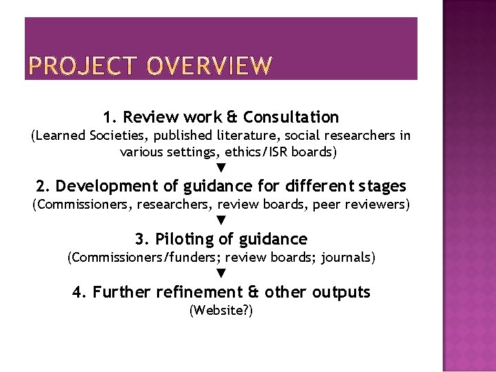 1. Review work & Consultation (Learned Societies, published literature, social researchers in various settings,