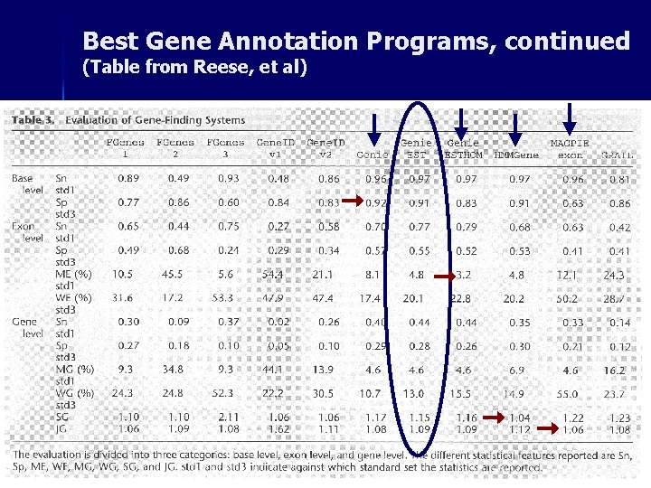 Best Gene Annotation Programs, continued (Table from Reese, et al) 