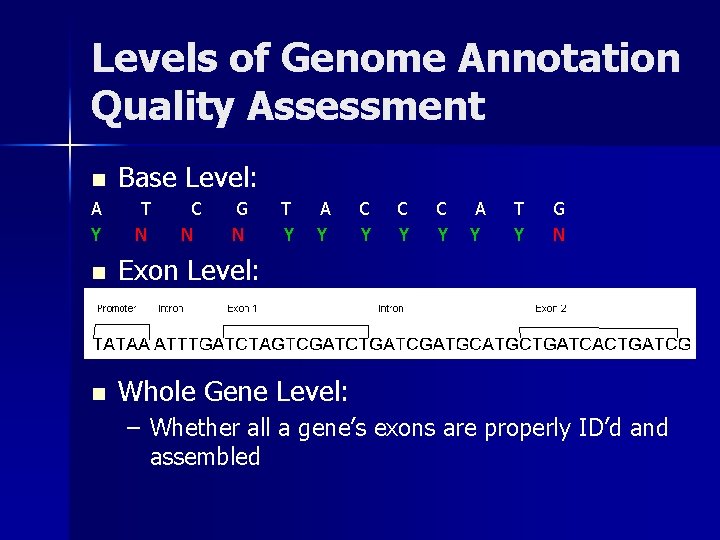 Levels of Genome Annotation Quality Assessment n A Y Base Level: T N C