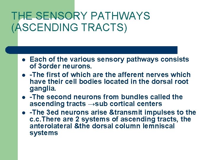 THE SENSORY PATHWAYS (ASCENDING TRACTS) l l Each of the various sensory pathways consists