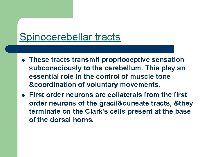 Spinocerebellar tracts l l These tracts transmit proprioceptive sensation subconsciously to the cerebellum. This