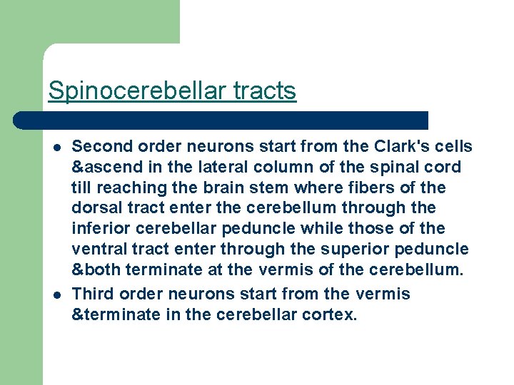 Spinocerebellar tracts l l Second order neurons start from the Clark's cells &ascend in