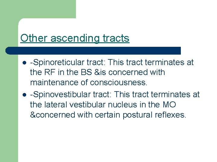 Other ascending tracts l l -Spinoreticular tract: This tract terminates at the RF in