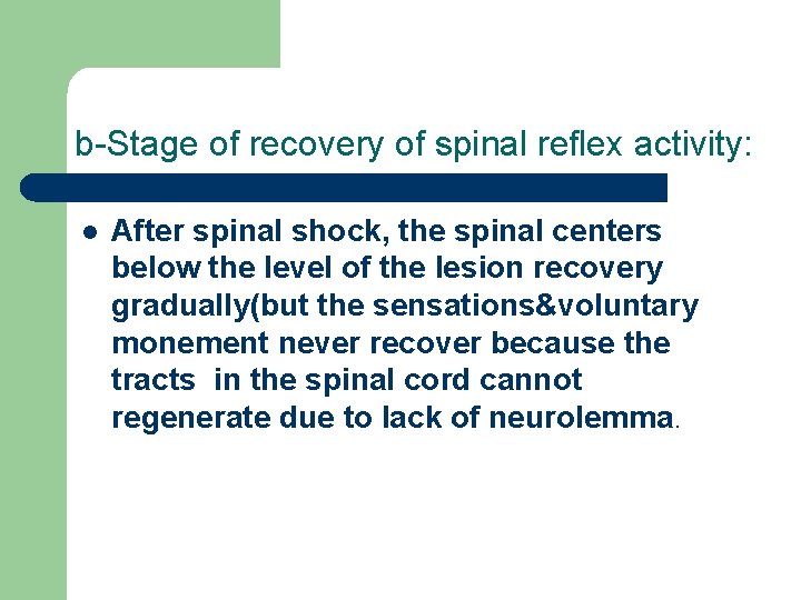 b-Stage of recovery of spinal reflex activity: l After spinal shock, the spinal centers