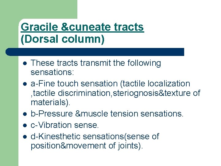 Gracile &cuneate tracts (Dorsal column) l l l These tracts transmit the following sensations: