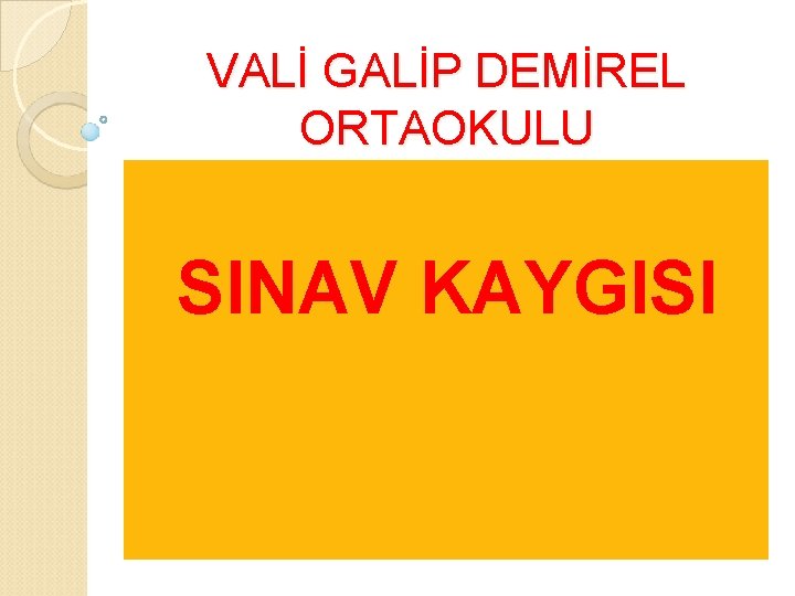 VALİ GALİP DEMİREL ORTAOKULU SINAV KAYGISI 