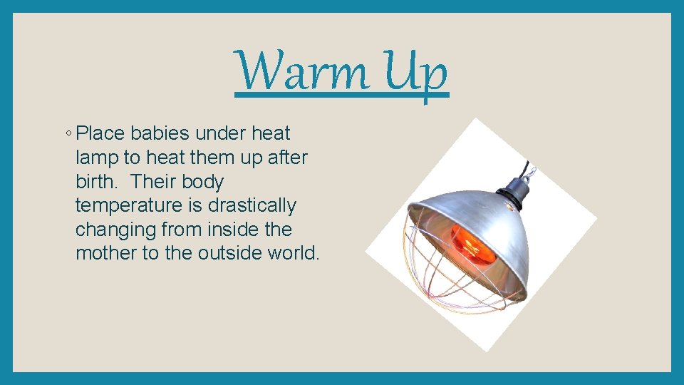 Warm Up ◦ Place babies under heat lamp to heat them up after birth.
