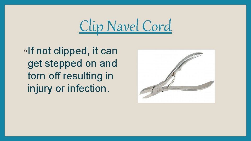 Clip Navel Cord ◦If not clipped, it can get stepped on and torn off