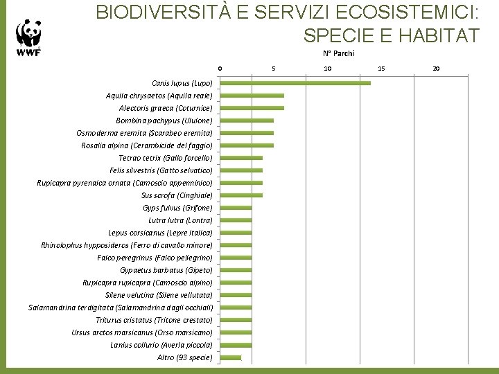 BIODIVERSITÀ E SERVIZI ECOSISTEMICI: SPECIE E HABITAT N° Parchi 0 Canis lupus (Lupo) Aquila