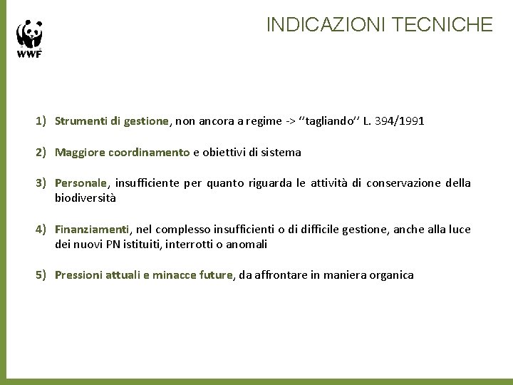 INDICAZIONI TECNICHE 1) Strumenti di gestione, non ancora a regime -> ‘’tagliando’’ L. 394/1991