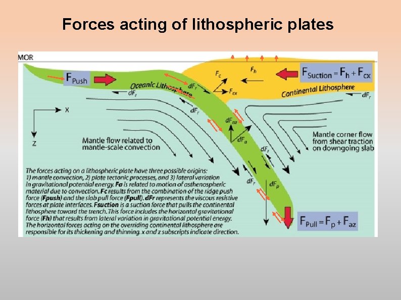 Forces acting of lithospheric plates Forces acting of lithospheric plates