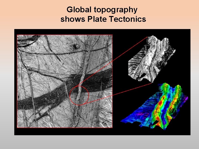 Global topography shows Plate Tectonics Global topography shows Plate Tectonics