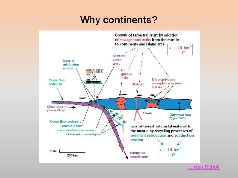 Why continents? . . . from Scholl Why continents? . . . from Scholl