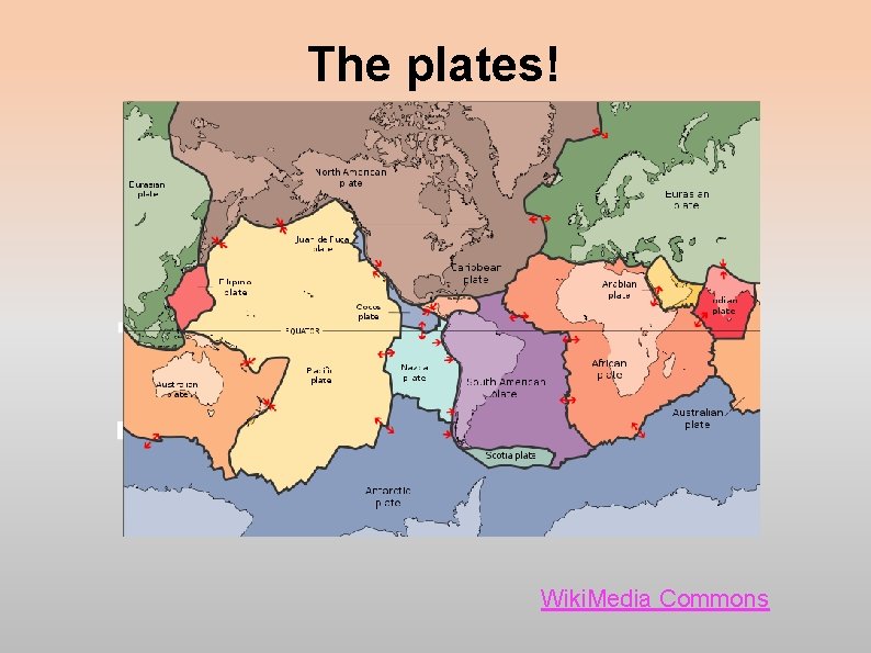 The plates! Wiki. Media Commons The plates! Wiki. Media Commons