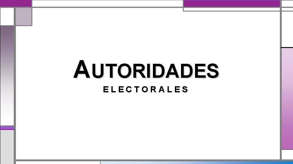 AUTORIDADES ELECTORALES 