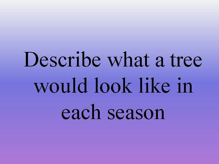 Describe what a tree would look like in each season 